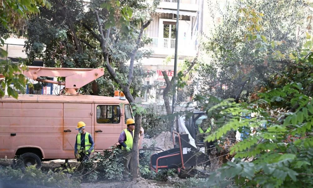 Δήμος Αθηναίων: Υπεγράφη η σύμβαση για την προμήθεια 2.975 νέων δέντρων
